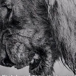 Meet your Posher, Derrick